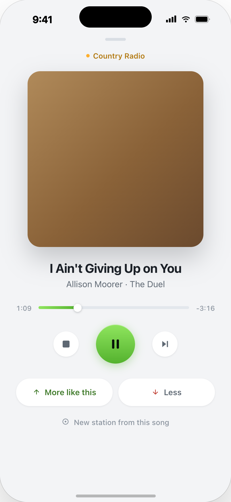 TuneFalls Now Playing on iPhone